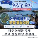 하와이안 훌라댄스 | 제주 논짓물 용천수 담수풀장, 서귀포 무료 물놀이장 후기·주차·축제 정보