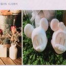 수다협동조합 이미지