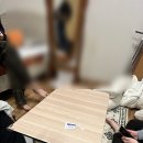 채니하우스 이미지