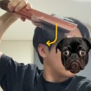 스트레이트 | 다이슨 에어스트레이트 사용 후기, 곱슬머리 정복 완료