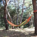 터닝포인트 카라반/캠핑 이미지