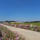 만경농장1 이미지