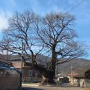 육통1리 이미지