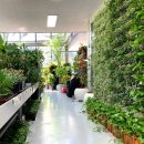 수직의 정원 이미지