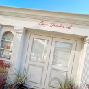 부산예빛학교 | 부산 기장 브런치 맛집 유럽분위기 아워오차드 내돈내산