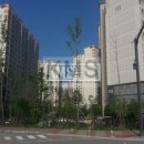 디자인시티 - 중구 | 디자인시티