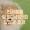 아로마 테라피 이미지