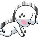 더블유오티펫푸드학원