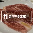 금산 고깃집 :: 금산한우갤러리