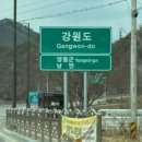 강원특별자치도 영월군 영월읍사무소 | [강원 영월] 왕과 사는 남자 단종 유배지 영월 청령포, 평일 웨이팅/입장료 방문후기🌟