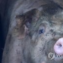 오지 3리 연합뉴스