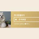 마론애견 이미지