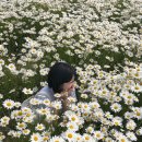 (주)맘스 이미지