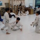 칼슨그레이시 코리아 이미지