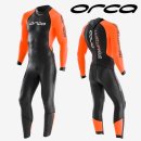 오르카수영 이미지