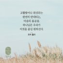 ➕ 창세기 38:24-30,구속사 관점에서 중요한 인물들 이미지