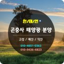 황등 태양광발전소 이미지
