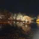 일동예일어린이집 이미지