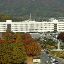 하동남부발전소 하동화력본부 이미지