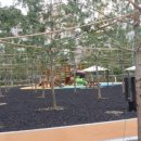 감고개공원작은도서관 이미지