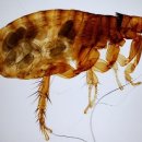 계양동물병원 이미지