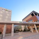 양지중학교 이미지