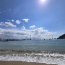 송도해수욕장 이미지