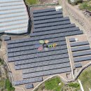 애월태양광발전소 이미지