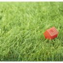 남부대학교 산업정책대학원 이미지