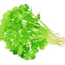 현대고수가스 이미지