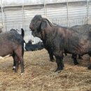 이천제이농장 이미지