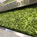 노반장 홍차 이미지