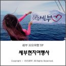 라라여행사 이미지