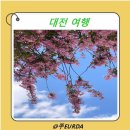 만석어린이집 | 대전 구석구석을 찾아가 보다!(즉흥 대전 여행후기)