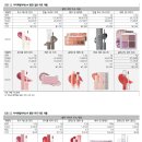 아이엘티 이미지