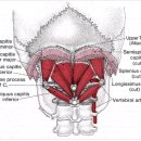 우장산경희한의원 이미지