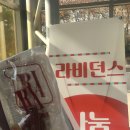 비던스 이미지