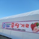 사남매농수산