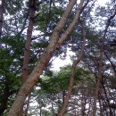 가창중학교 이미지