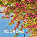 완산-3 | 전주 겹벚꽃 명소 완산칠봉꽃동산 언제가야 예쁠까? 실시간 개화상황, 주차장, 가는 법 총정리