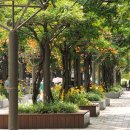 부천중앙공원 이미지