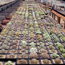 가랑농장 이미지