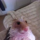 오타쿠 이미지