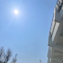 13 | 잠실야구장 두산 시범경기 3루 레드석 120블럭 13열 시야 후기