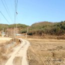 여주-1109 이미지