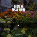 [영등포 꽃과생활]영등포역 꽃집 발견! 디자인 센스 폭발하는 &#34;꽃과생활&#34; 솔직 후기