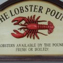 요트(주) 이미지