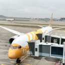 [공지] 2024년 9월 스쿠트 항공 현지면접 어세스먼트 합격후기 🇸🇬💛🐝✨