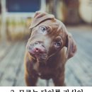 갸우뚱