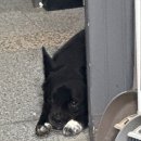 삼향천로 | 빵달산 캐치테이블 웨이팅 후기 (1) 그리고 헛소리